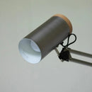 Axyaa Adjustable Danish Floor Lamp with Simple Reading Light