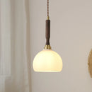 Axyaa Glass Walnut Chandelier: Nordic LED Pendant Light for Home Décor