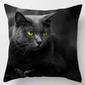 Axyaa Cute Cat Hug Pillowcase Interactive Cushion for Home Sofa Decor