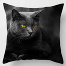 Axyaa Cute Cat Hug Pillowcase Interactive Cushion for Home Sofa Decor