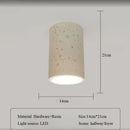 Axyaa LED Tube Light Ceiling Spotlight for Living Room Bedroom Corridor, Japanese Retro Style