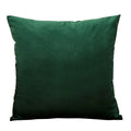 Axyaa Velvet Cushion Cover Set - Vibrant Decorative Throw Pillow Case for Living Room