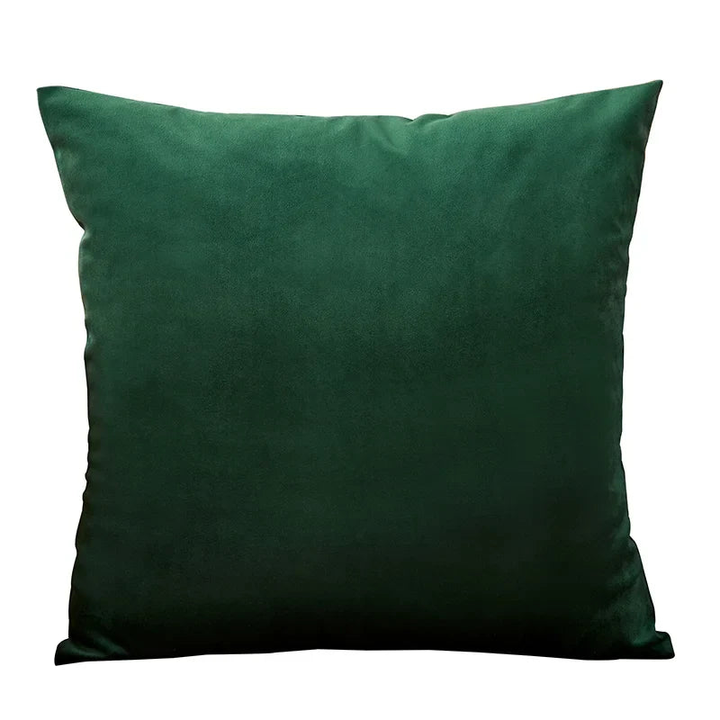 Axyaa Velvet Cushion Cover Set - Vibrant Decorative Throw Pillow Case for Living Room