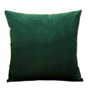 Axyaa Soft Cushion and Throw Pillow Cover Set for Living Room Decor