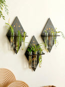 Wooden Plant Propagation Station with Plastic Test Tubes by Axyaa - Boho Home Decor