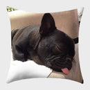 Axyaa French Bulldog Polyester Cushion Cover - Modern Sofa Throw Pillow Cover