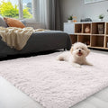 Axyaa Kids Bedroom Shaggy Carpet: Soft, Fluffy, Cozy Rugs for Boys and Girls