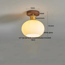 Axyaa Modern Nordic Clear Glass LED Ceiling Lamp for Home Decor