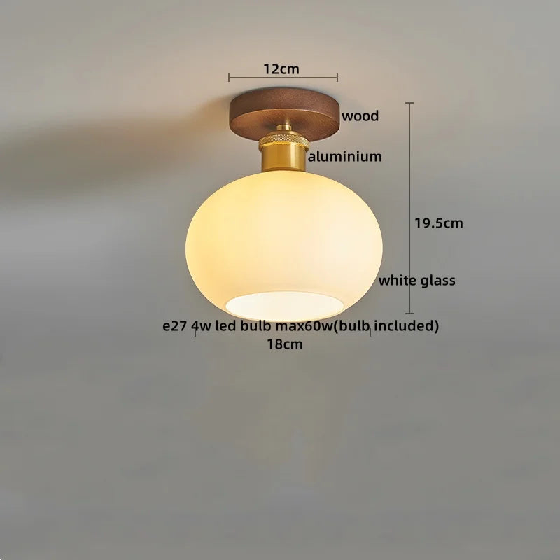 Axyaa Modern LED Ceiling Light for Indoor Lighting - Nordic Style Balcony Living Room Fixture
