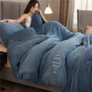 Axyaa Double Sided Milk Velvet Winter Comforter King Size Quilts, Soft Plush Duvets