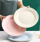 Axyaa Pink Nordic Eco-Friendly Dinner Plates - Set of 10