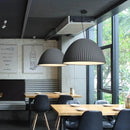 Axyaa Nordic Resin Pendant Lights for Home Decor and Lighting Fixtures