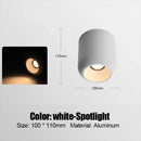 Axyaa 10W LED Downlight Surface Mounted Spotlight for Indoor Ceiling Lighting