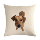 Axyaa Dog Cushion Covers Collection