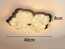 Axyaa Acrylic Intelligent LED Ceiling Light for Bedroom and Living Room