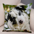 Axyaa Australian Shepherd Pillow Cover - Cute Dog Animal Cushion