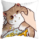 Axyaa Cute Cat Kiss Love Pillowcase 45x45cm - Home Decor Short Plush Pillow Cover