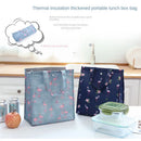 Axyaa Insulated Cooler Bag for Food & Drinks, Portable for Picnics, Camping, Leakproof