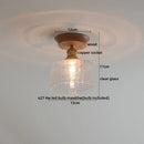 Nordic Modern Axyaa Glass LED Ceiling Lamp for Home Restaurant Balcony Lighting