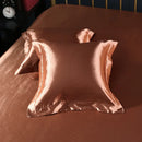 Axyaa Silk Satin Pillowcase Square Throw Pillow Cover 50x50cm