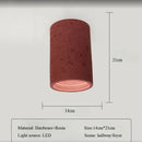 Axyaa LED Tube Light Ceiling Spotlight for Living Room Bedroom Corridor, Japanese Retro Style