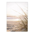 Axyaa Beach Shell Landscape Canvas Art Print for Nordic Living Room Decor