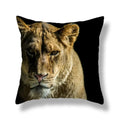 Wild Animal Lion Tiger Cushion Cover - Axyaa Home Decor
