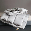 Axyaa Winter Warm Quilt Single Student Dormitory Four Seasons Quilt Core