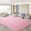 Axyaa Gray Coral Fleece Living Room Rug for Sofa, Coffee Table, Kids Bedroom