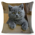 Cute Cat Print Fold Ear Pet Pillowcase for Cozy Home Decor by Axyaa