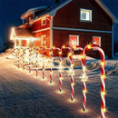 Axyaa Solar Cane Lights Set for Outdoor Garden Decoration
