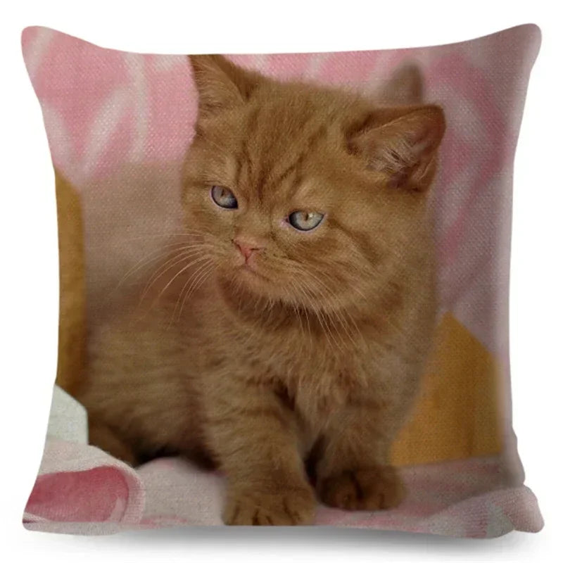 Axyaa Fold Ear Cat Pillow Covers - Set of 2 Cute Pet Pillowcases