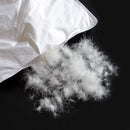 Axyaa White Goose Down Winter Quilt - 100% Cotton, Thick & Warm