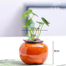 Axyaa Ceramic Persimmon Fruit Flower Pot for Home Decor