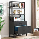 Axyaa 2 Drawer Vertical File Cabinet with Lock and Bookshelf, Modern Filing Printer Stand