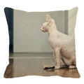 Cute Axyaa Sphinx Cat Cushion Cover 45X45cm - Home Sofa Decoration Pillowcase