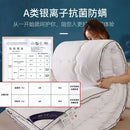 Axyaa Winter Antibacterial Class A Cotton Quilt - 6kg Single/Double Space Quilt