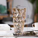 Axyaa Crystal Glass Hydroponic Vase for Art Flower Arrangement and Decor