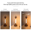 Axyaa Touch Dimmable LED Desk Lamp, Modern USB Rechargeable Ambient Light