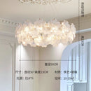 Axyaa Luxury Glass Crystal Chandelier for Living Room, Bedroom, and Study