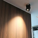 Axyaa Adjustable Angle Spotlight for Living Room Bedroom - Small Ceiling Lights