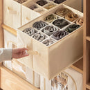 Axyaa Wardrobe Organizer Drawers for Pants, Bras, Socks, and T-Shirts