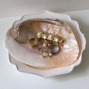 Axya Shell Jewelry Storage Tray, Photography Props & Home Decor Ornaments
