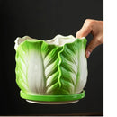 Axyaa Cabbage Flowerpot: Creative Cartoon Vegetable Basin with Tray - Garden Vase