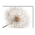 Axyaa Reed Lion Landscape Canvas Print Wall Art for Nordic Living Room Decor