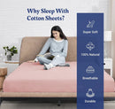 Axyaa Luxury 800TC Egyptian Cotton Bed Sheet Set, Ultra Soft Solid 3-Piece Kit