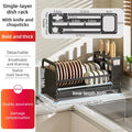 Axyaa 2-Tier Dish Drying Rack and Utensils Holder Organizers