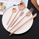 Axyaa 20-Piece Stainless Steel Cutlery Set - Matte Finish Flatware Set