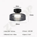 Axyaa Modern Glass LED Ceiling Light Chandelier for Home Decor