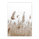 Nordic Reed Grass Landscape Canvas Wall Art Print for Living Room Decor by Axyaa